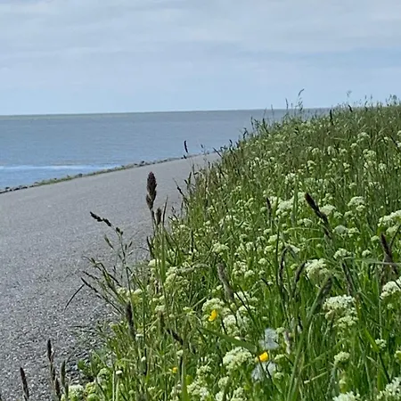 Neuhaus Deichperle * Крумхёрн