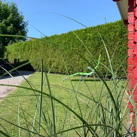 Neuhaus Deichperle Krummhoern