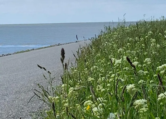 Neuhaus Deichperle * Krummhörn